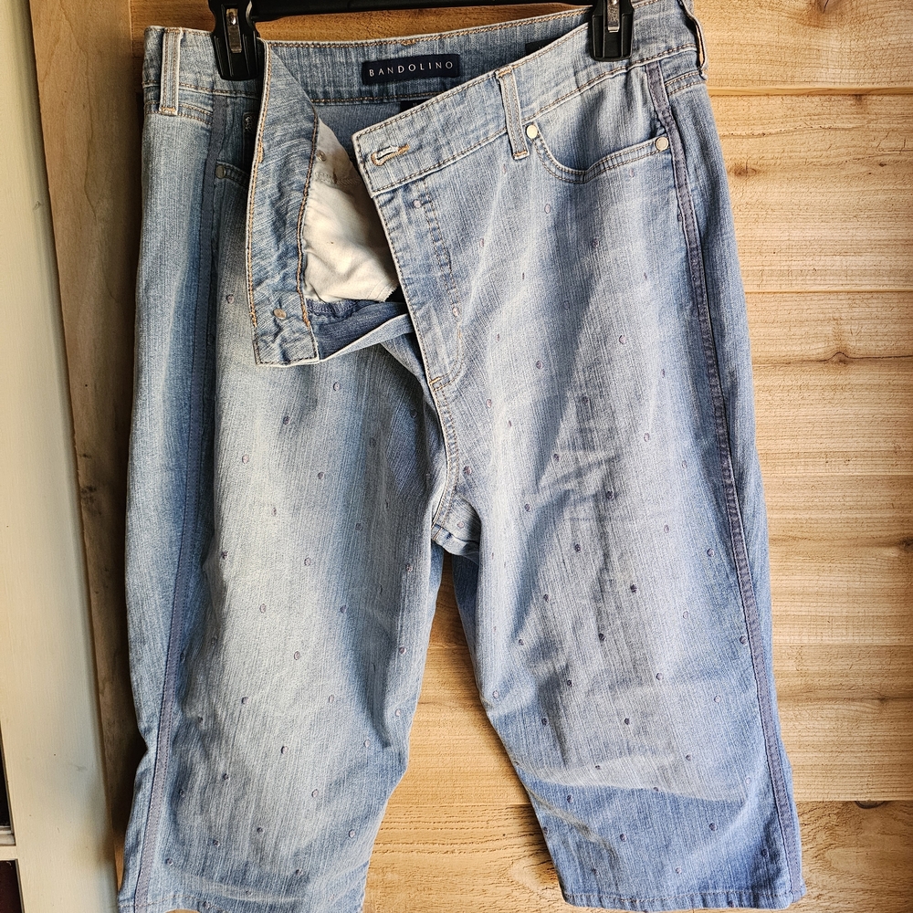 Bandolino Light Blue Embroidered Denim Pants